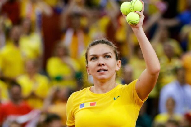 halep dezavantajata din cauza nationalitatii cum a platit in mod repetat pentru ca s a nascut in romania 67a314ac2a824
