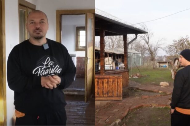 imagini cu casa de la tara a lui puya dupa ce a renovat o complet se pot construi case si din resturi gasite 67aca629e2b83