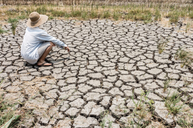 incalzirea globala accelereaza zonele de pe pamant cu temperaturi insuportabile pentru oameni s ar putea tripla in acest secol 67bd531c4f346