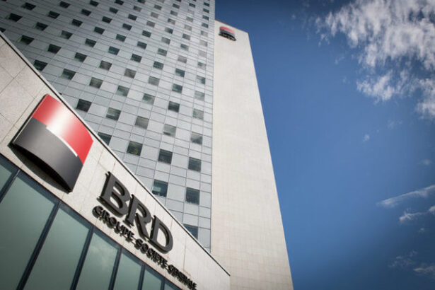 infografic grupul brd profit in scadere in 2024 veniturile au crescut 67a46eb5030ee