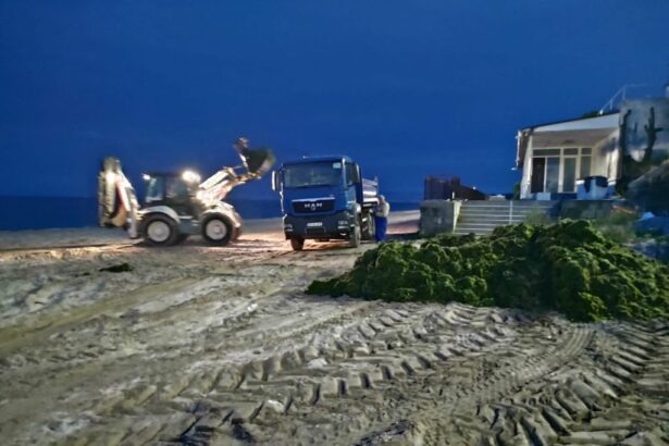 iridex se va ocupa de curatenia plajelor valoarea contractului depaseste 15 milioane de lei 67a098d331db1
