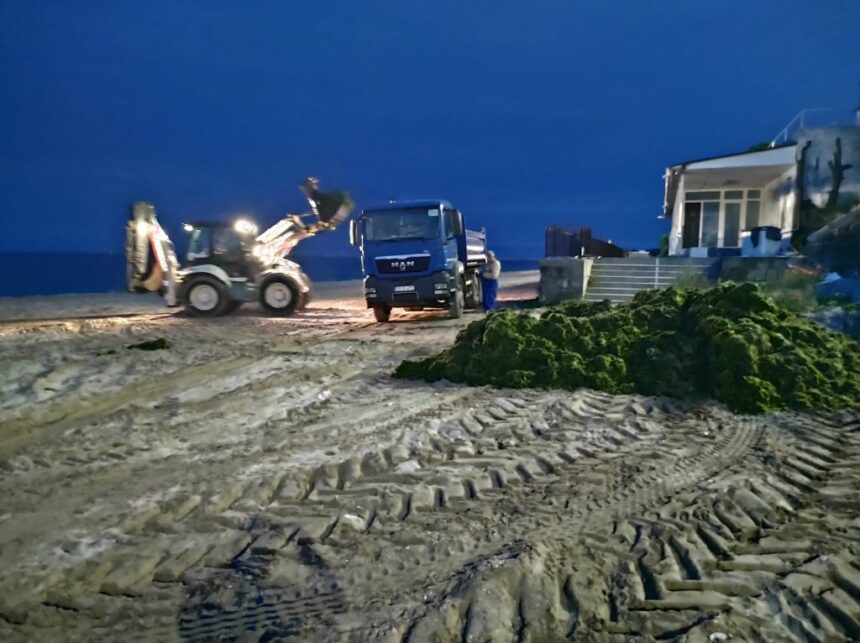 iridex se va ocupa de curatenia plajelor valoarea contractului depaseste 15 milioane de lei 67a098d331db1