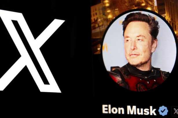 mae ii raspunde lui elon musk pe x dupa comentariile despre calin georgescu nimeni nu este mai presus de lege 67c0784436c12