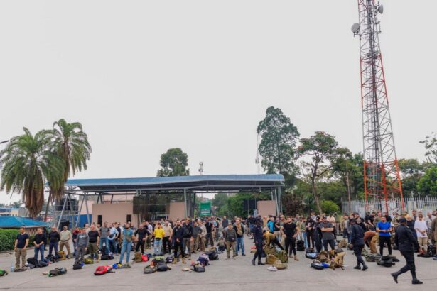 mercenarii lui horatiu potra au ajuns in romania sunt verificati de medicii epidemiologi 679f1035ddc59