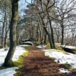 meteo final de februarie cu vreme neobisnuit de rece urmeaza trei saptamani cu temperaturi peste cele normale 67b84eaaa016d