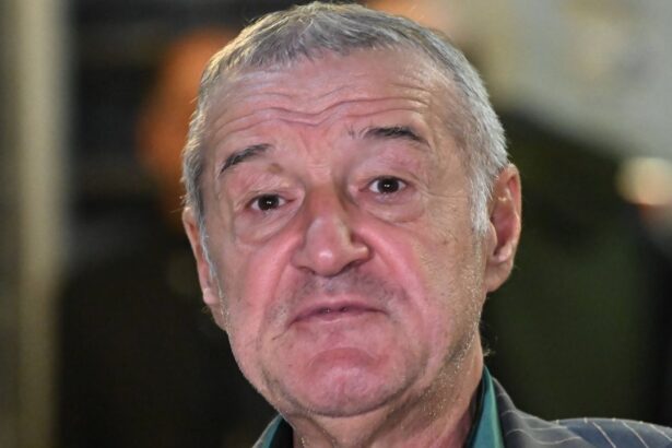 news alert gigi becali transfera un jucator din superliga il iau cat plateste fcsb 67a1368badb83