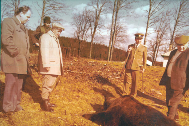 nicolae ceausescu la vanatoare tragea la tot nu ierta nimic 67b0d21500ee2