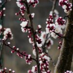 nou anunt meteo vremea se va incalzi usor in toata tara de cand se schimba vremea prognoza si pentru urmatoarele 2 saptamani 67bc7e4e8d376