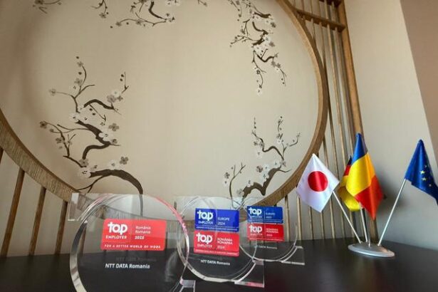 ntt data romania top employer in 2024 am recrutat peste 500 de specialisti in it dintre care aproximativ 200 pentru proiectul bmw techworks din cluj 67a0e0547c5a2