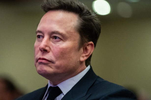 o tanara de 26 de ani influencer maga spune ca are un copil cu elon musk reactia miliardarului care are alti 12 copii 67b37e13b648d