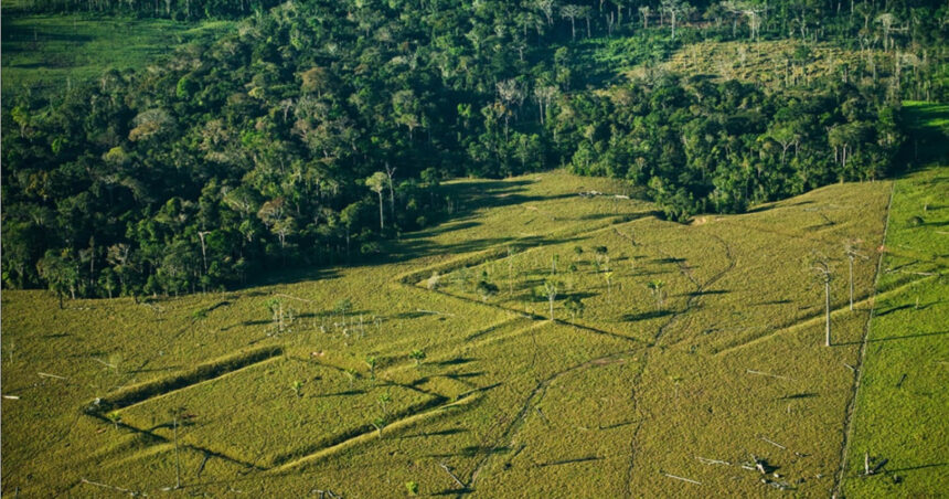 orasele pierdute ale amazonului cum dezvaluie noile tehnologii metropole verzi ascunse in jungla de mii de ani 67b2686462694