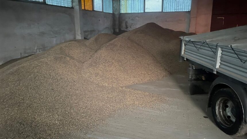 patru persoane prinse in flagrant de politistii de frontiera in timp ce sustrageau cereale dintr o magazie a unei societati comerciale 67b880dde8719