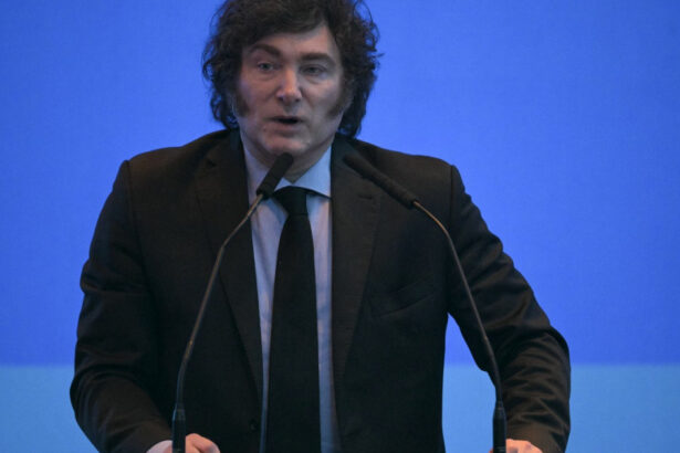 presedintele argentinei javier milei redeschide dosarele retelelor care au ajutat mii de nazisti sa scape in america de sud 67bc412a090f5
