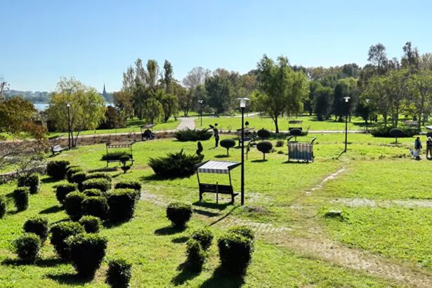 primaria constanta investeste in spatiile verzi urmeaza modernizari majore in parcul poarta 6 si parcul tabacariei 67b335a8a1c3c