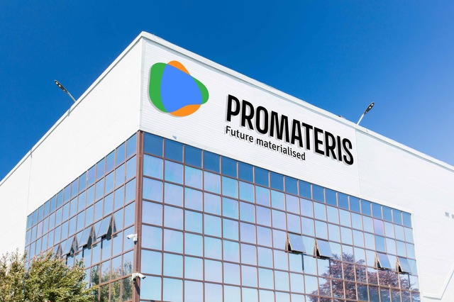 promateris cu fratii dedeman in actionariat declin al afacerilor in 2024 67c22a1a98616