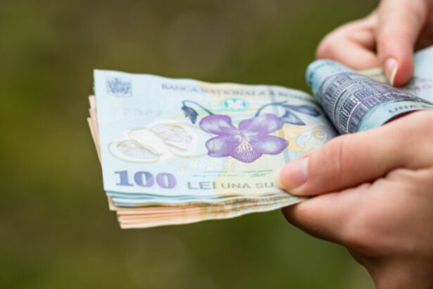 romania este una dintre tarile ue cu cea mai mare crestere a salariului minim din ultimul deceniu 67a6e629a5cbe