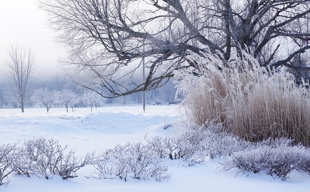 romania lovita de un val de aer polar temperaturile scad la 22 de grade 67b97c2bcecd1