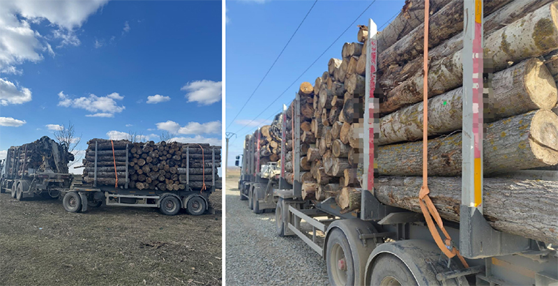 scutul padurii in judetul tulcea autoutilitara cu lemne fara provenienta trasa pe dreapta de politisti 67be01513cd04