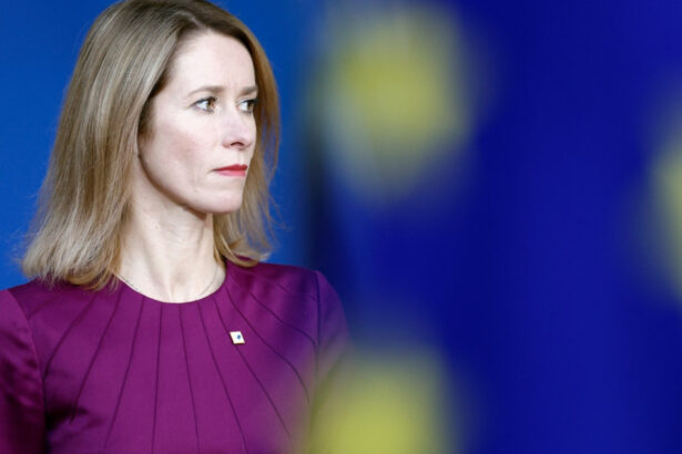 sefa diplomatiei europene cand a auzit ca trump l a numit pe zelenski dictator trebuie sa l fi confundat este evident 67b8571750641