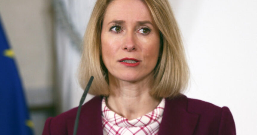 sefa diplomatiei uedespre manipularea alegerilor prin platforme online cazul romaniei nu este izolat trebuie sa ne miscam repede 67acbc4c356d9