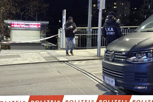 sirianul care a injunghiat mai multi oameni in sudul austriei s a radicalizat pe tiktok ce au descoperit autoritatile 67b3656846802
