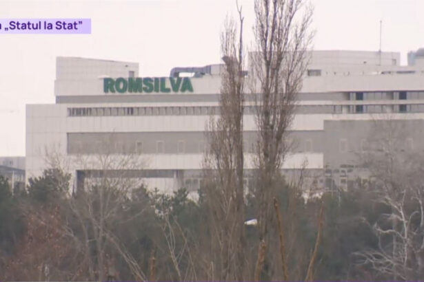 statul la stat sefii romsilva isi trateaza stresul cu sporuri ce prevede contractul colectiv de munca 67b6c2abcd4c0