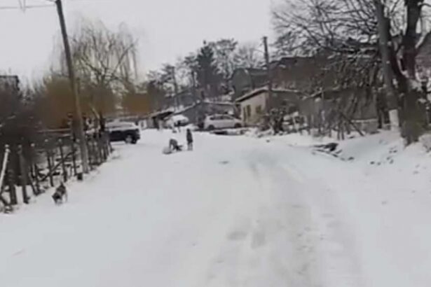 strada inchisa temporar pentru a fi derdelus pentru copii in comuna lipnita din judetul constanta 67b2210ae8a97