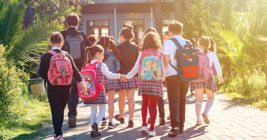 structura anului scolar 2025 2026 cand incep cursurile si cand sunt programate vacantele elevilor 67af076e7f4bc