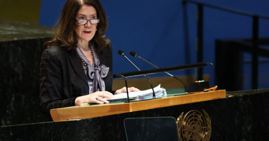 sua cer kievului si moscovei sa sustina la onu proiectul lor de rezolutie privind incheierea razboiului din ucraina 67bcade16f63d