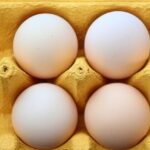 sua epidemia de gripa aviara a dus la un declin semnificativ al numarului de gaini si preturi record la oua 67bd90598b064