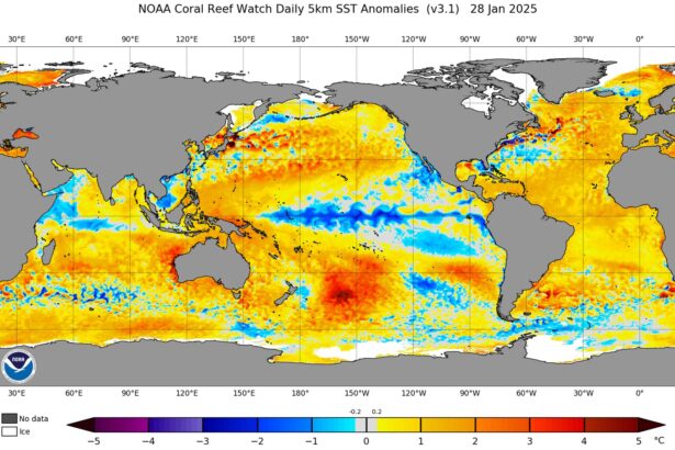 suprafata oceanului se incalzeste de peste patru ori mai rapid decat in anii 1980 679e4905d8e0e