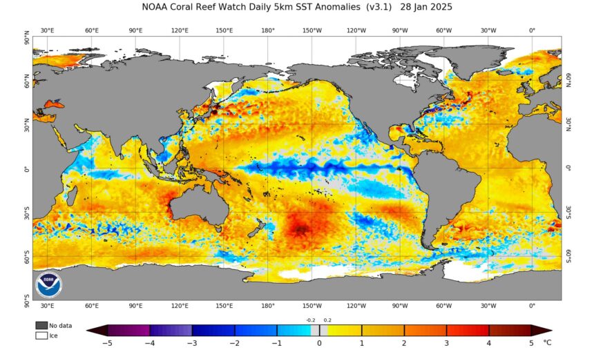 suprafata oceanului se incalzeste de peste patru ori mai rapid decat in anii 1980 679e4905d8e0e