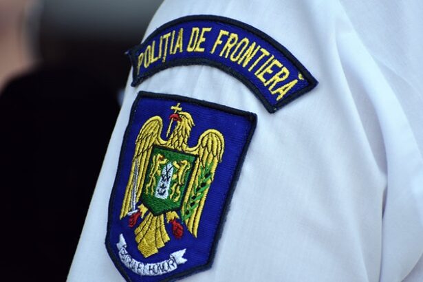 surprizain trafic la mangalia ce au descoperit politistii la un control de rutina 67adb3df4f51c
