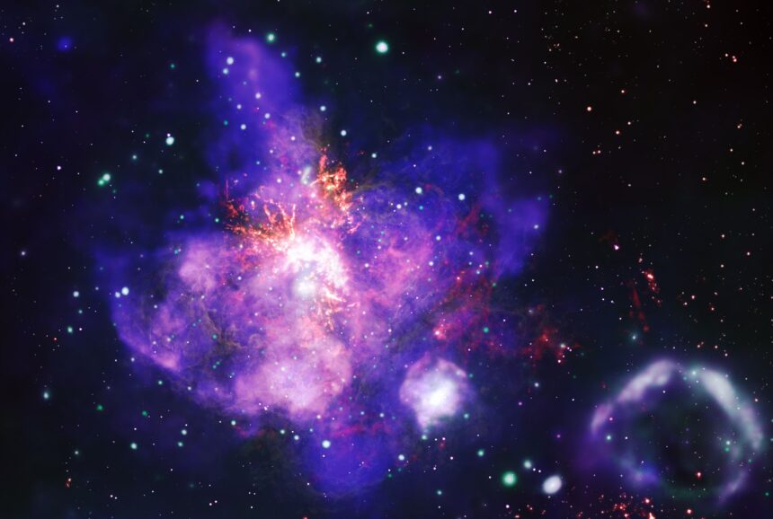 telescoapele nasa au dezvaluit un buchet de stele de ziua indragostitilor 67af6b9f20973