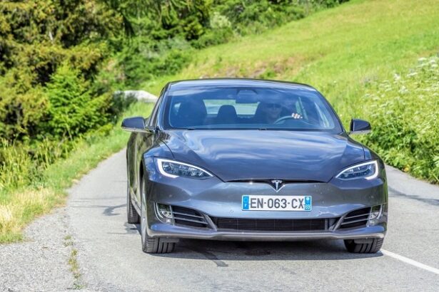 tesla declin puternic in germania 67a459a6d3ab8