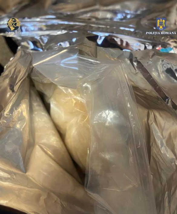 tineri prinsi in flagrant cu 20 kilograme de cristal si 400 grame cocaina drogurile erau ascunse in saci de mancare pentru caini 67b1e7ab0aa70