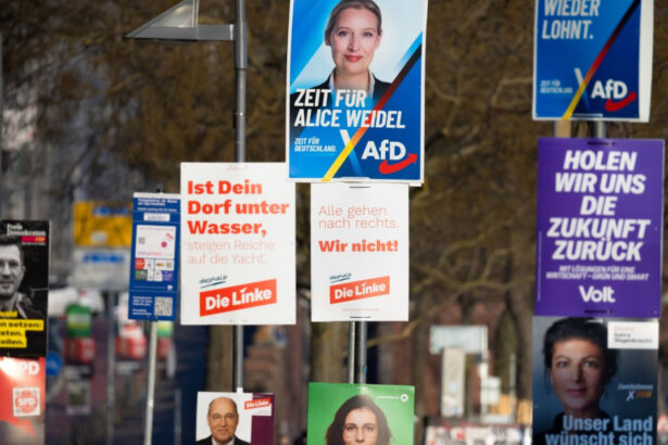 toti ochii pe afd inaintea alegerilor din germania care a fost momentul de cotitura pentru partid in cea mai mare economie europeana 67b705db900d2