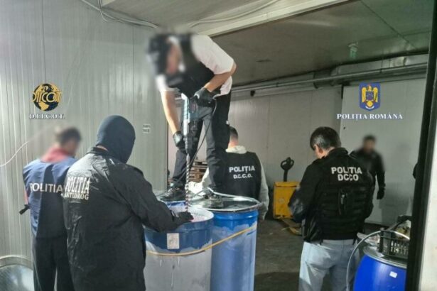 trafic international de droguri la constanta doi indivizi au importat peste 70 de butoaie de fructe congelate amestecate cu cocaina au fost trimisi in judecata de diicot 67b48980bfd03