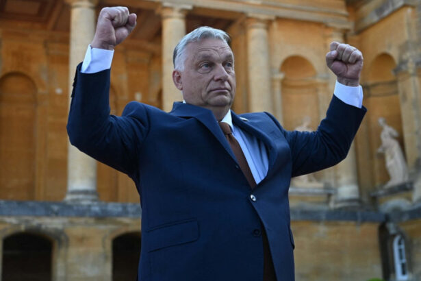 trebuie sa fie maturati viktor orban a cerut eliminarea completa a retelei soros 67a6053fd157a