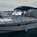 un motor de barca cautat in germania depistat in portul turistic mangalia 67a0c4210d36c
