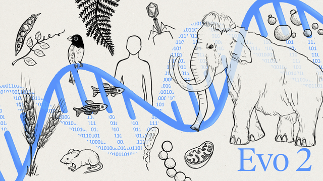 un nou ai poate sa modeleze si sa proiecteze codul genetic pentru toate domeniile vietii 67b6dcae6e9c5