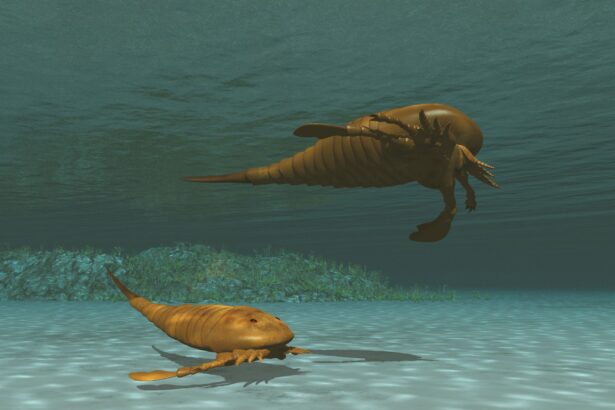 un nou studiu sustine ca insasi evolutia poate evolua 67b9e965dc235