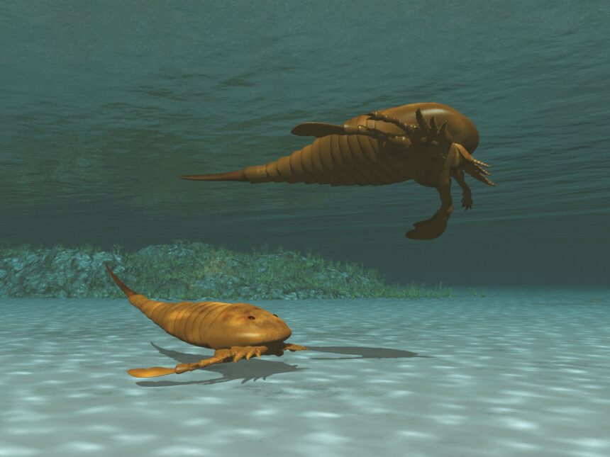 un nou studiu sustine ca insasi evolutia poate evolua 67b9e965dc235