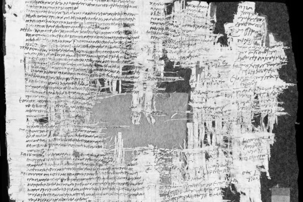 un papirus descoperit in israel dezvaluie un caz spectaculos din imperiul roman 679f7e188b1ee