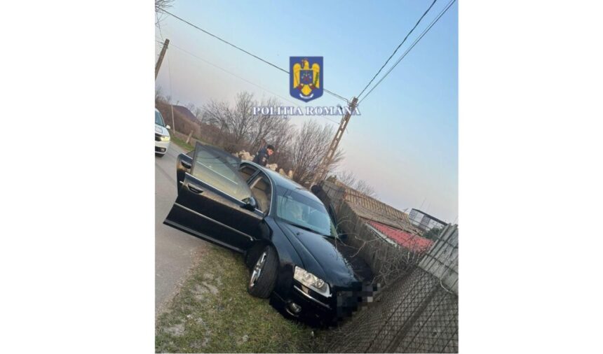 un tanar de 23 de ani fara permis a fugit de politie si s a oprit direct intr un gard din nicolae balcescu 67ae16fe99086
