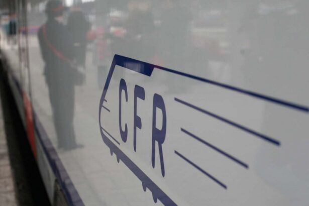 un tren de pe ruta bucuresti constanta s a defectat circulatia feroviara blocata intre fetesti si borcea 67ab967cd303f