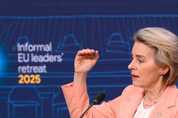 ursula von der leyen industria europeana poate invata de la industria de aparare ucraineana 67a1cb1681977