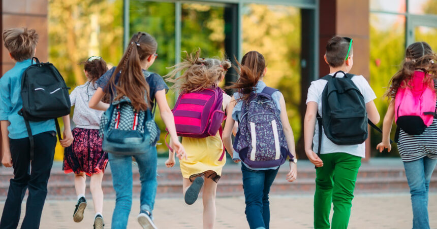 vacante scolare 2025 2026 cand sunt programate zilele libere pentru elevi care este cea mai lunga perioada de vacanta din an 67b2dcd3adc20