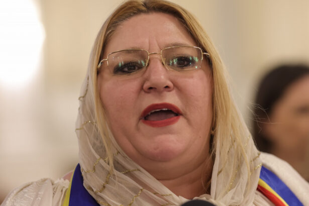 video diana sosoaca vizata de un dosar penal dupa ce a intrat in birourile judecatorilor ccr si i a amenintat 67b5b3fc92af4