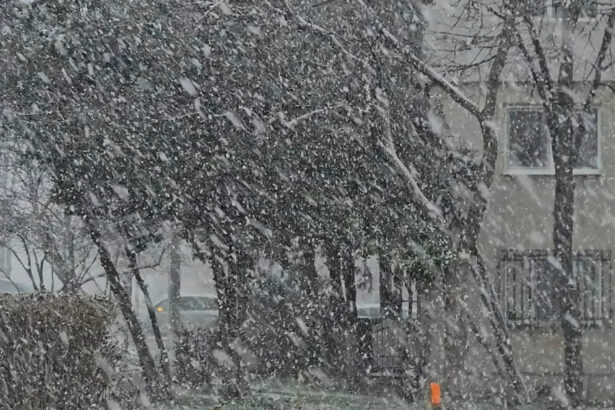 video ger lapovita si ninsori in bucuresti cum va fi vremea in restul tarii 67a48d93230ba